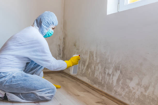 Licensed Mold Testing service in Acworth, GA - WQB Mold Removal