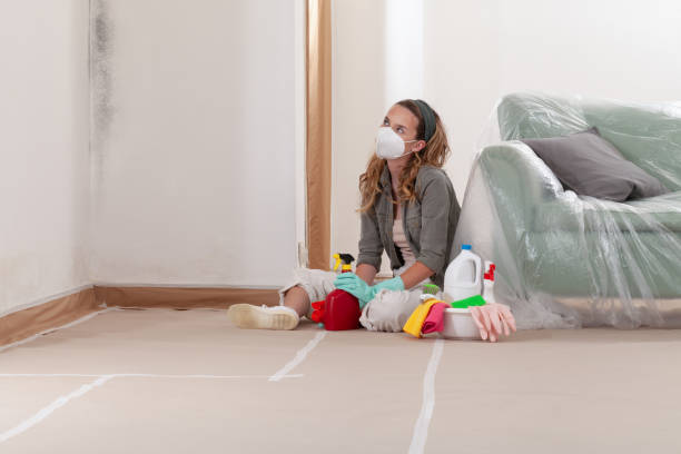 Reliable Mold Testing contractor in Acworth, GA by WQB Mold Removal